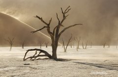 Fine art photograph of sandstorm in Deadvlei in Namibia desert