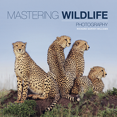 Wildlife Photography Book