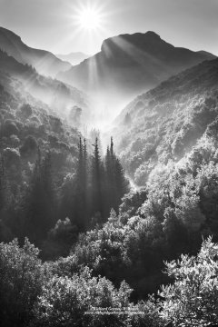 Black and white photograph of the Rindomo Gorge on a misty morning