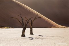 Deadvlei photographed on Namibian safari