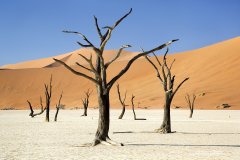 Namibian desert landscape