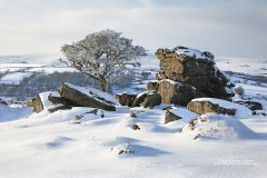 Dartmoor tor in snow