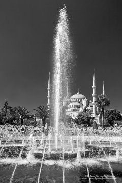 Fountains and Blue Mosque in black and white