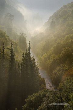 Moody misty view along gorge in Greece