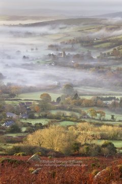 Dartmoor scene with morning mist