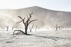 Artistic image of sand storm in Namibia